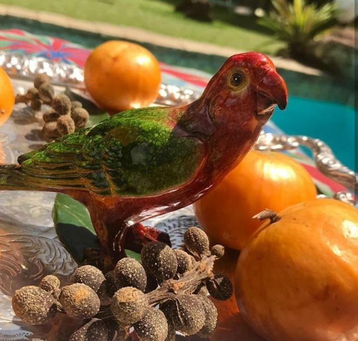 Pousada Villa Jambo Petrópolis Dış mekan fotoğraf